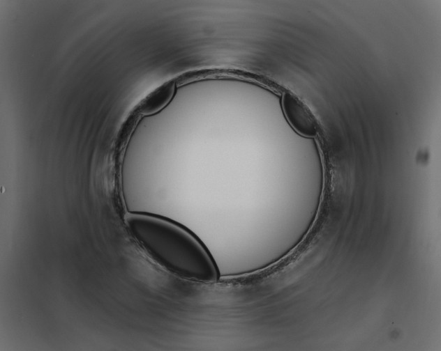 X0000102001069200808081655