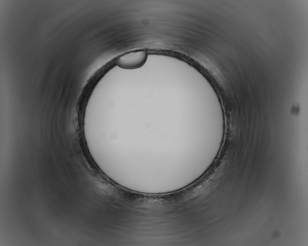 X0000102001070200808081655