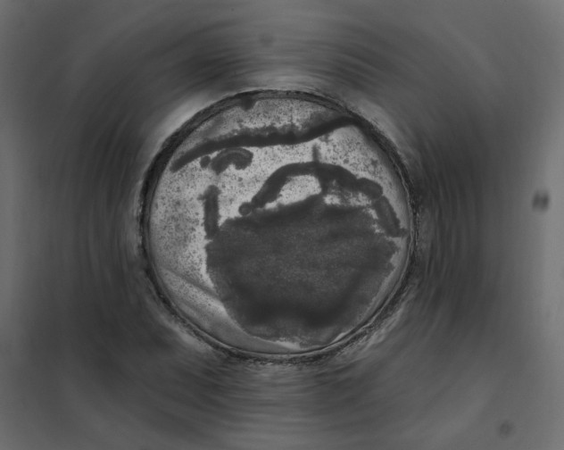 X0000102001071200808081655