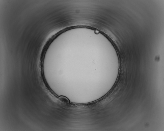 X0000102001072200808081655