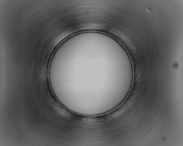 X0000102001073200808081655