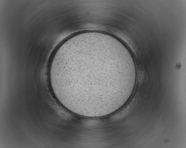 X0000102001074200808081655