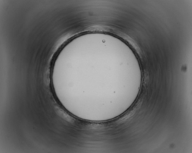 X0000102001075200808081655