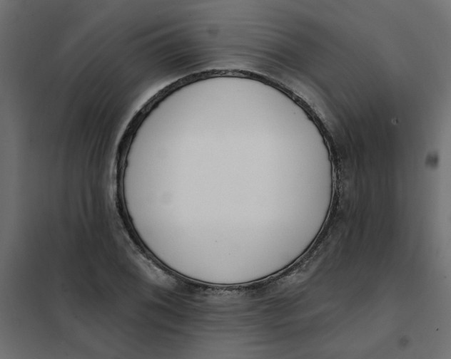 X0000102001076200808081655