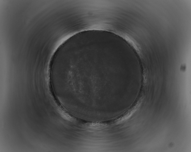 X0000102001077200808081654