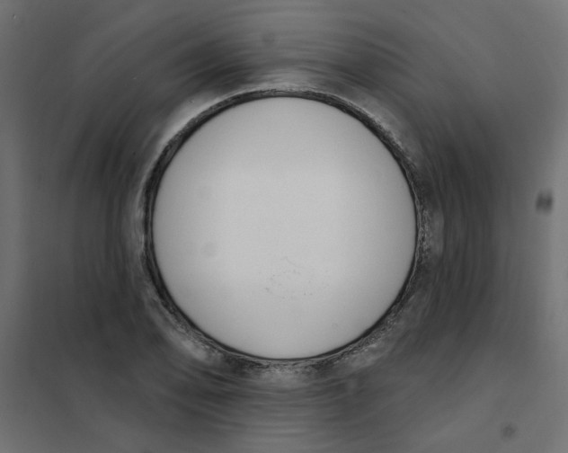 X0000102001078200808081654