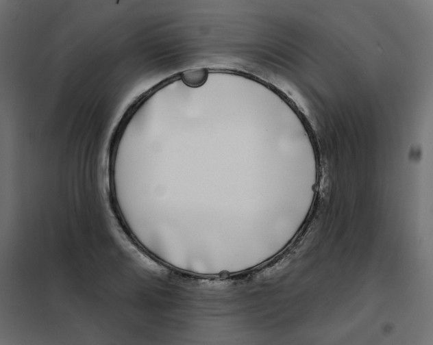 X0000102001080200808081654