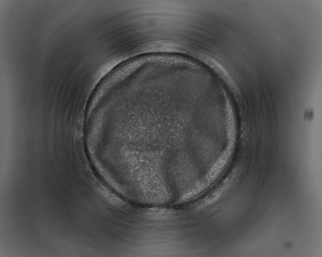 X0000102001081200808081654