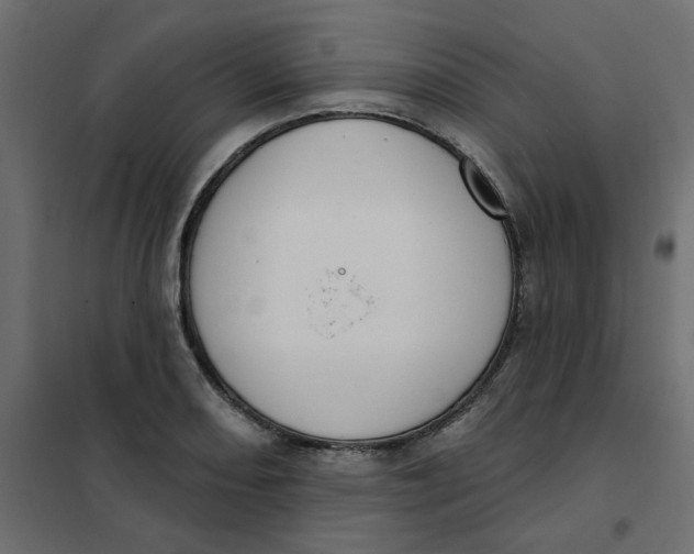 X0000102001082200808081654