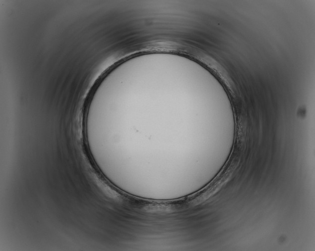 X0000102001083200808081654