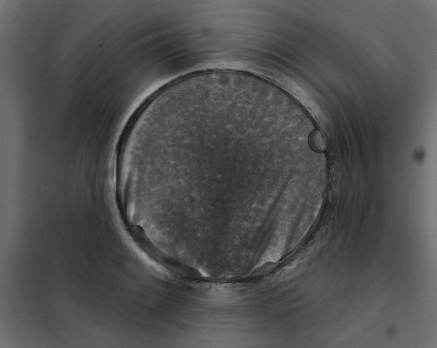 X0000102001084200808081654