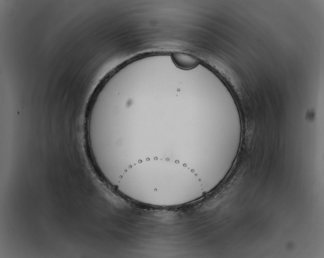 X0000102001085200808081654