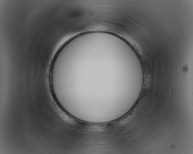 X0000102001086200808081654