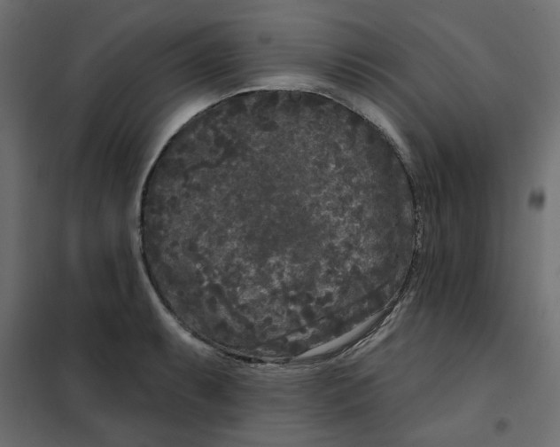 X0000102001087200808081654