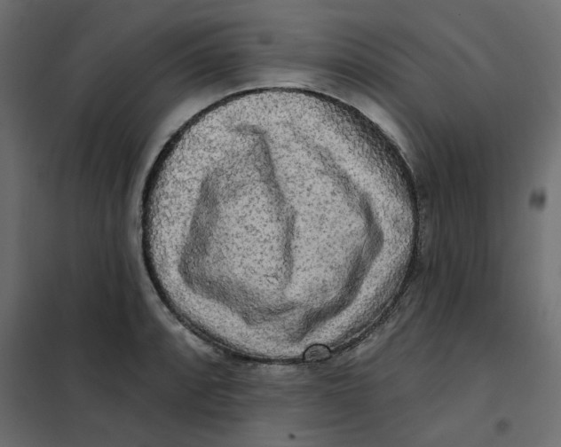 X0000102001088200808081654