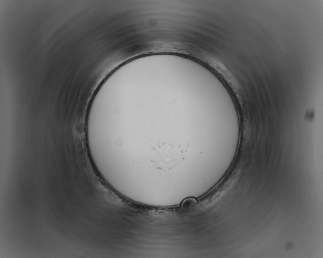 X0000102001089200808081654