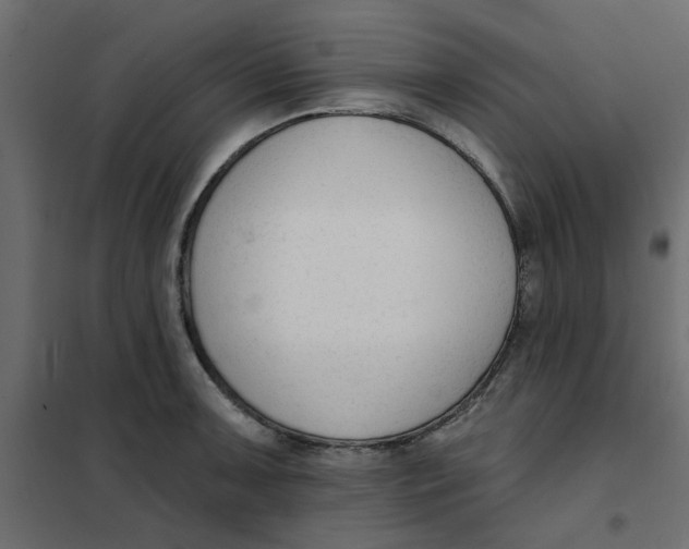 X0000102001091200808081654