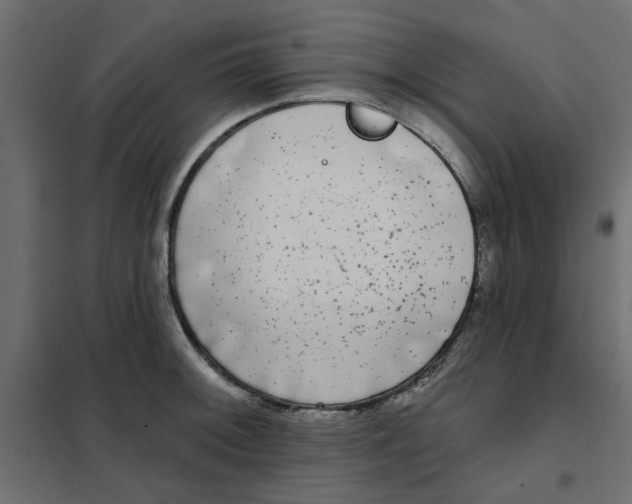 X0000102001092200808081654