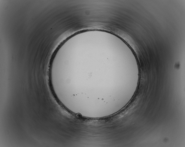 X0000102001093200808081654