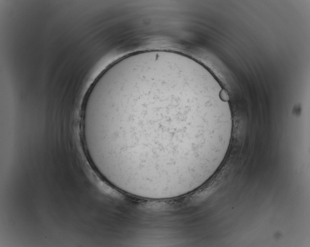 X0000102001094200808081654