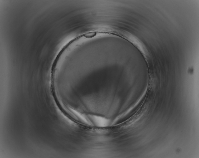 X0000102001095200808081654