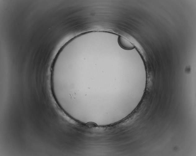 X0000102001096200808081654