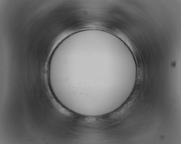 X0000102001098200808081654