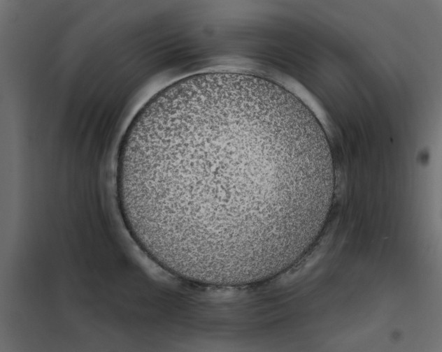 X0000102001099200808081654