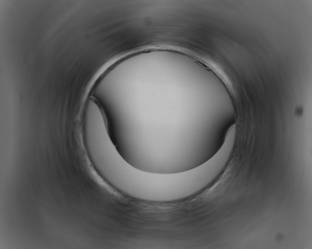 X0000102001100200808081654