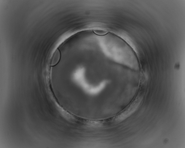 X0000102001101200808081654