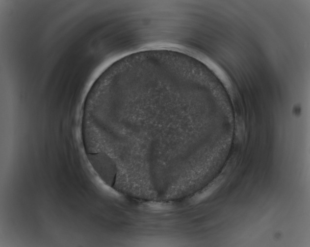 X0000102001102200808081654