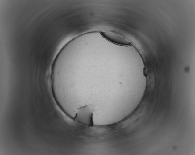 X0000102001103200808081654