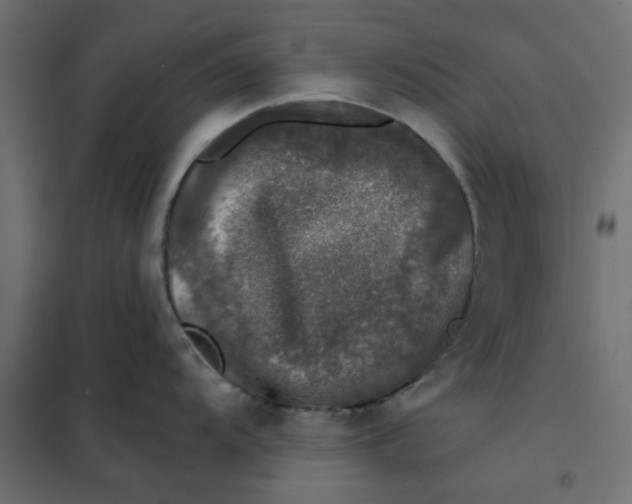 X0000102001104200808081654