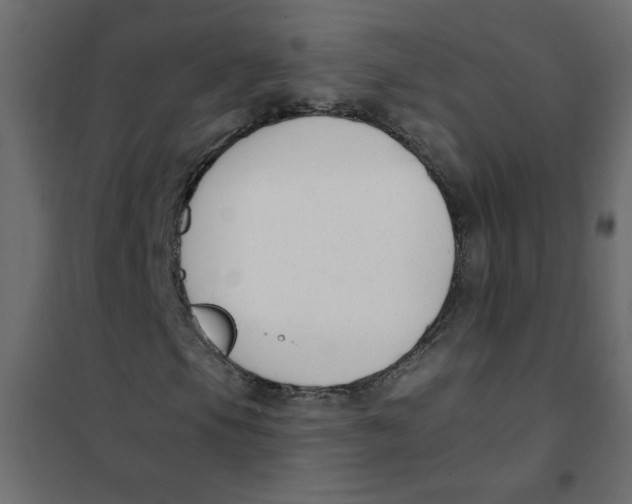 X0000102001105200808081653