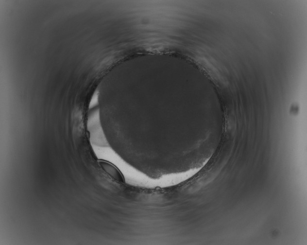 X0000102001106200808081653