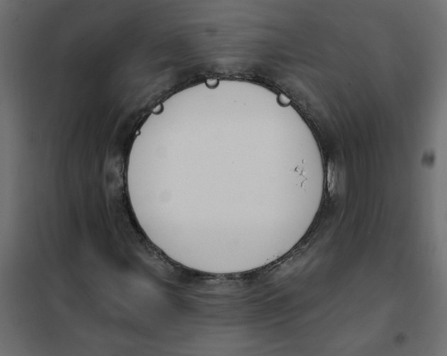 X0000102001107200808081653