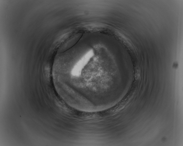 X0000102001108200808081653