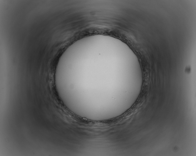 X0000102001109200808081653