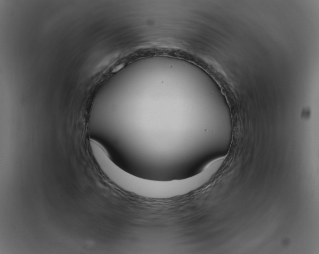 X0000102001110200808081653