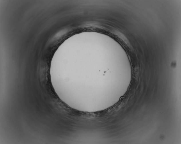 X0000102001111200808081653