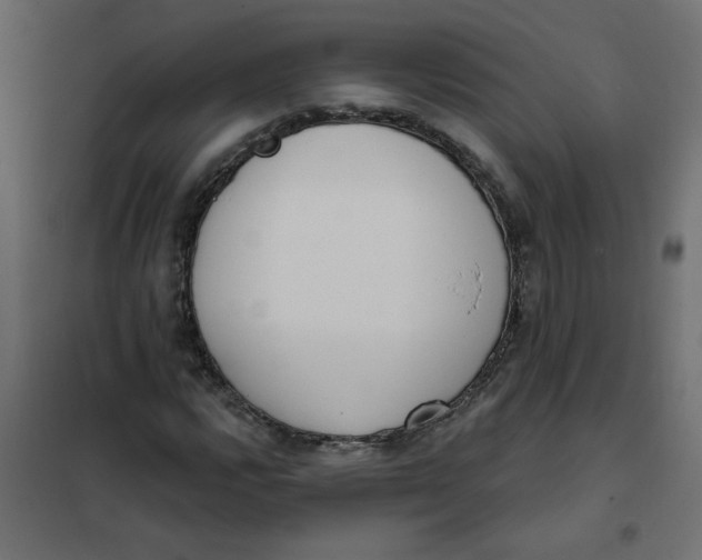 X0000102001112200808081653