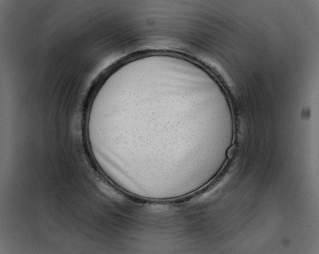 X0000102001114200808081653