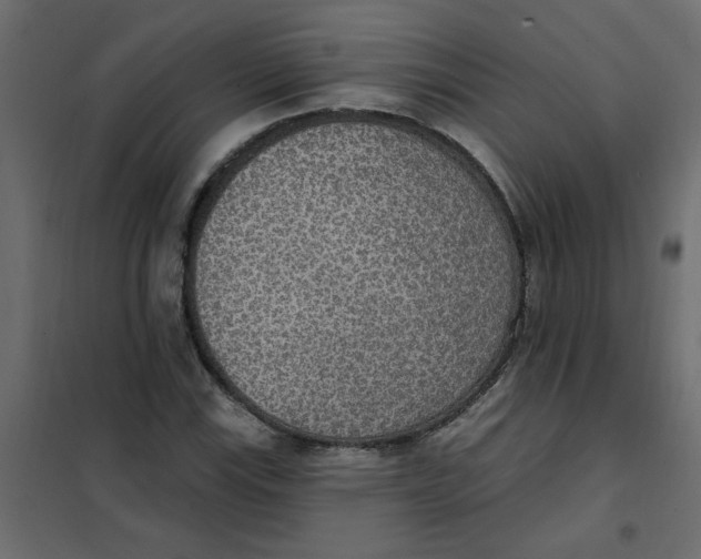 X0000102001115200808081653