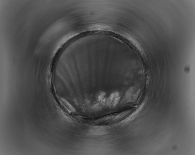 X0000102001117200808081653