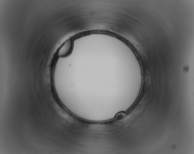 X0000102001118200808081653