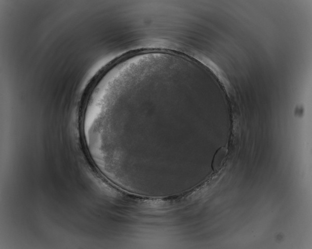 X0000102001120200808081653