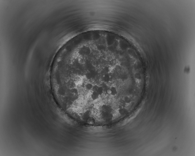 X0000102001121200808081653