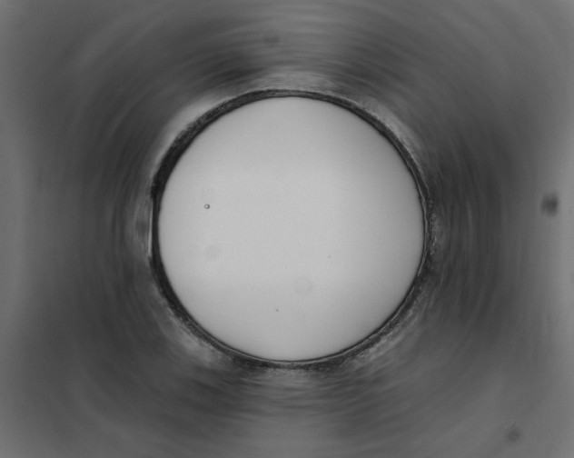 X0000102001123200808081653