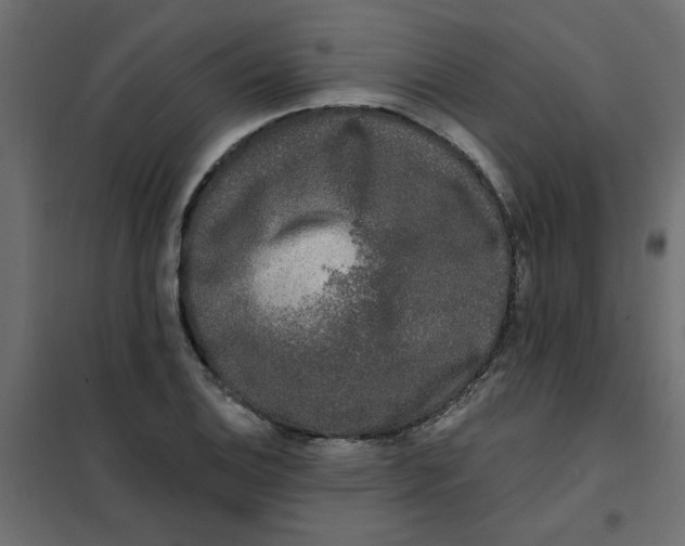 X0000102001124200808081654