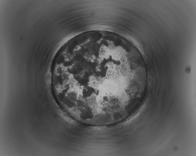 X0000102001125200808081654